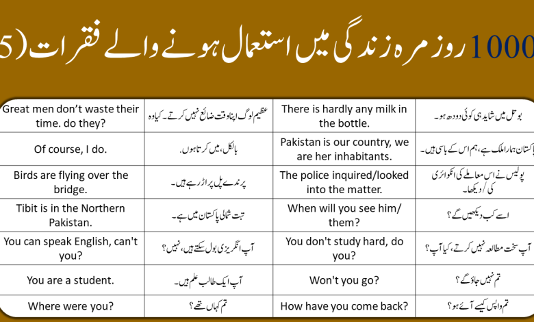 10000 English To Urdu Sentences Part 5