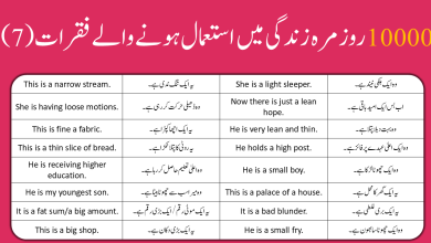 10000 English to Urdu daily use Sentences Part 7