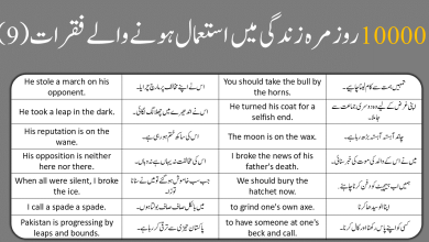 !0000 English to Urdu Sentences Part 9