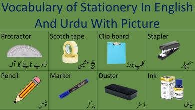 Vocabulary of Stationery In English and Urdu