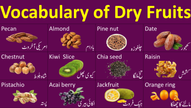 Names of Dry Fruits In English And Urdu With pictures