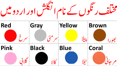 Vocabulary Of Color in English And Urdu