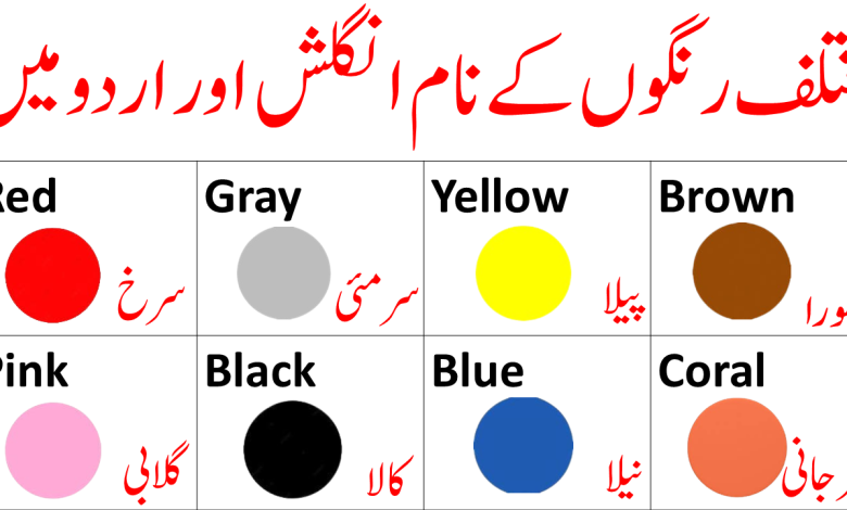 Vocabulary Of Color in English And Urdu