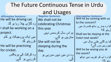 The Future Continuous Tense