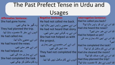 The Past Prefect Tense