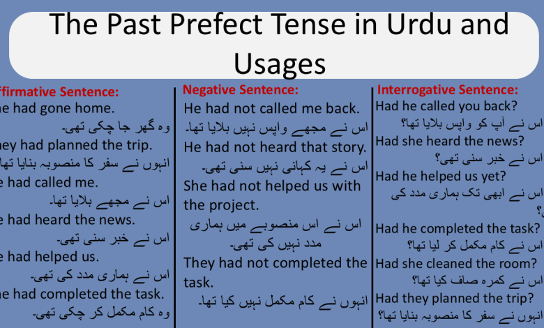 The Past Prefect Tense