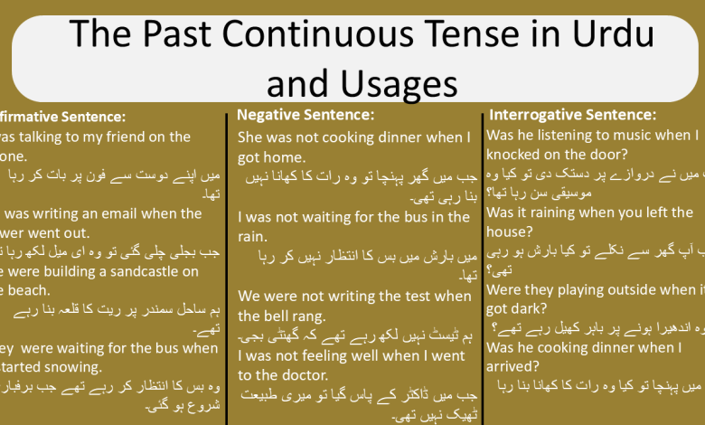 The Past Continuous Tense