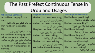 The Past prefect continuous tense