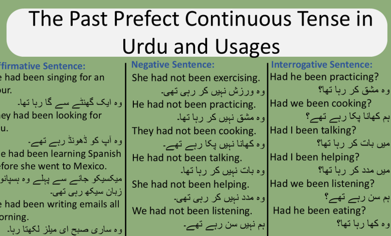 The Past prefect continuous tense